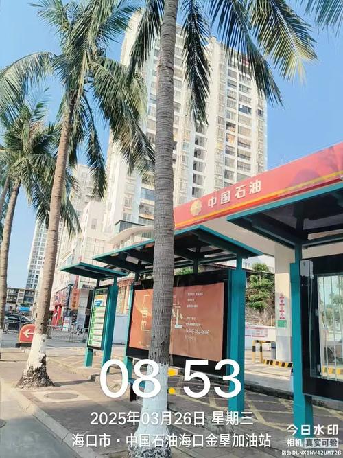 龙华区环卫作业质量监督考评日报（3月25日）——龙华石油重点盯防情况通报